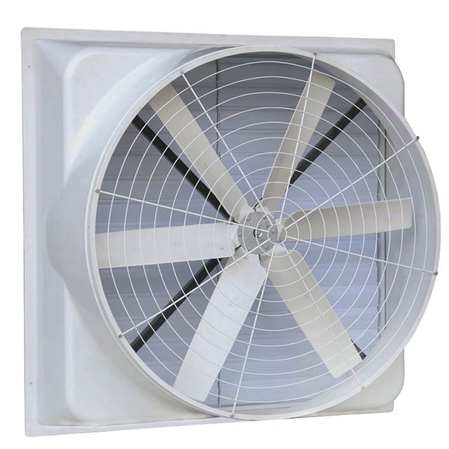 CFZ-EG-240