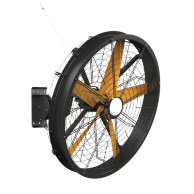 CFZ-ETW-4